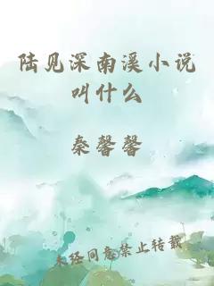 陆见深南溪小说叫什么